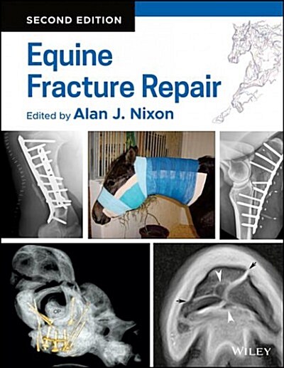 Equine Fracture Repair (Hardcover)