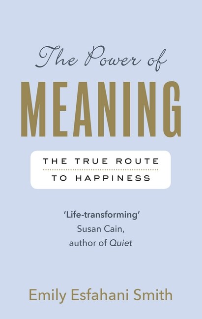 The Power of Meaning : The true route to happiness (Paperback)