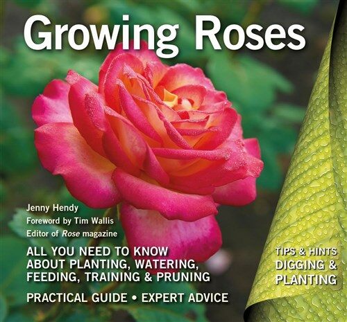 Growing Roses : Plan, Plant and Maintain (Paperback)