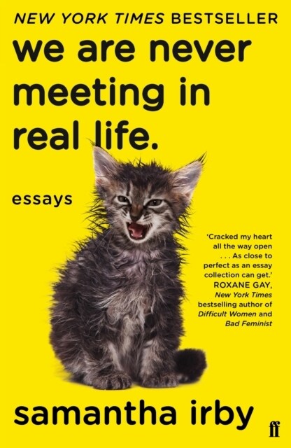 We Are Never Meeting in Real Life (Paperback)