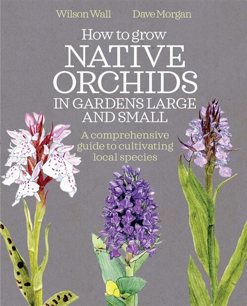 How to Grow Native Orchids in Gardens Large and Small : the comprehensive guide to cultivating local species (Hardcover)