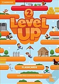 Level Up Level 2 Flashcards (Cards)