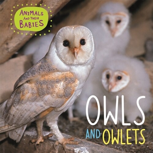 Animals and their Babies: Owls & Owlets (Paperback, Illustrated ed)