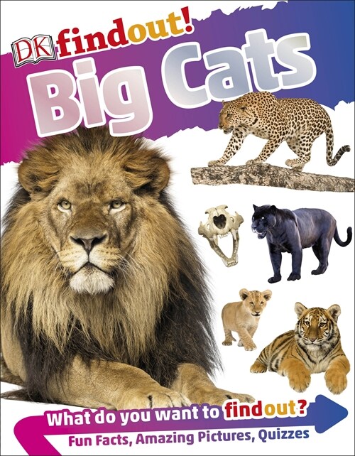 DKfindout! Big Cats (Paperback)