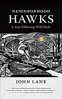 Neighborhood Hawks: A Year Following Wild Birds (Paperback)