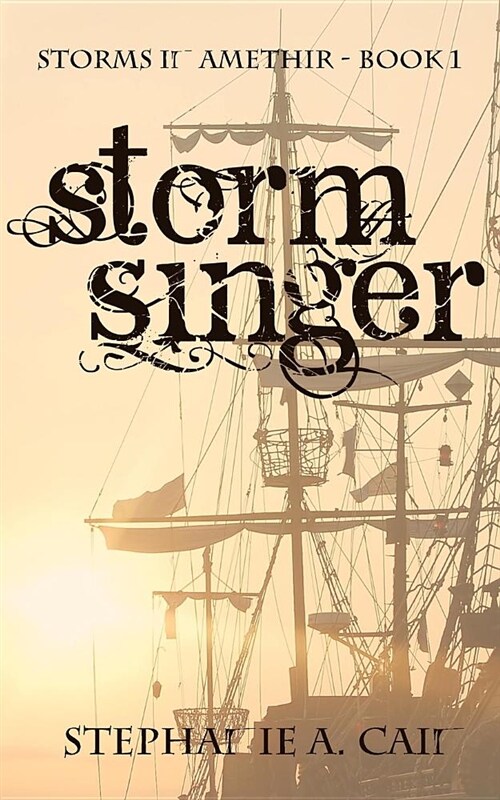 Stormsinger (Paperback)