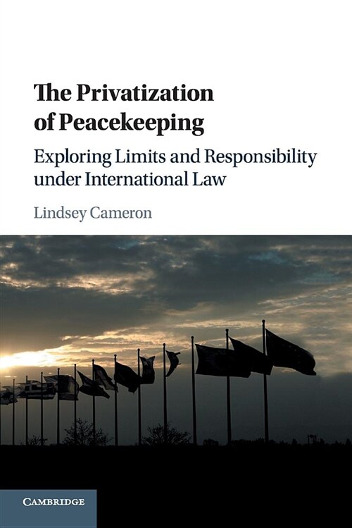 The Privatization of Peacekeeping : Exploring Limits and Responsibility under International Law (Paperback)