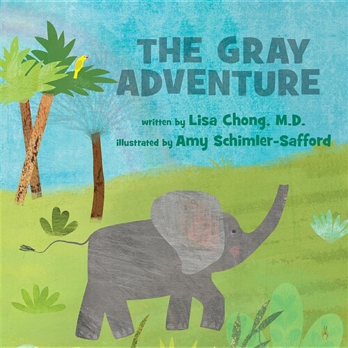 The Gray Adventure (Paperback)