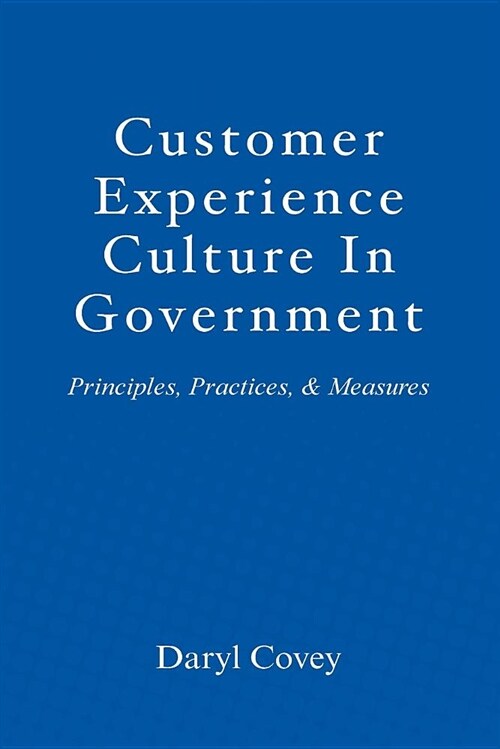 Customer Experience Culture in Government: Principles, Practices, and Measures (Paperback)