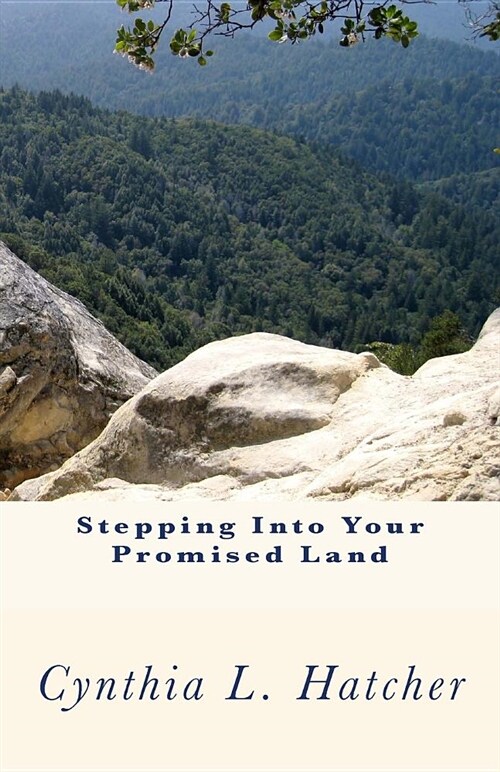 Stepping Into Your Promised Land (Paperback)