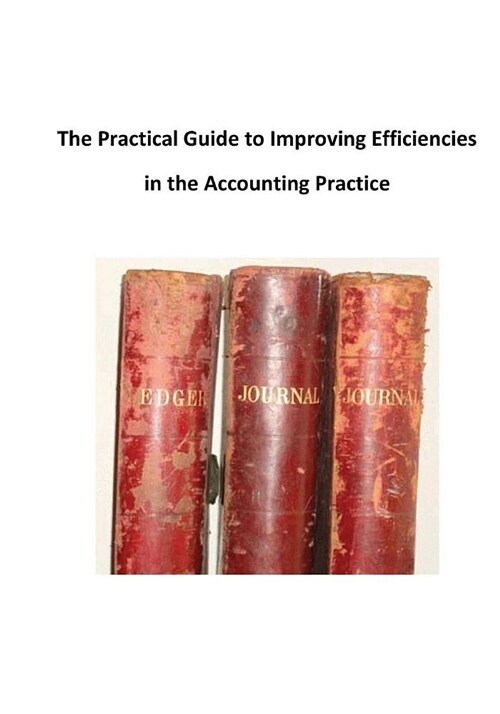 The Practical Guide to Improving Efficiencies in the Accounting Practice (Paperback)