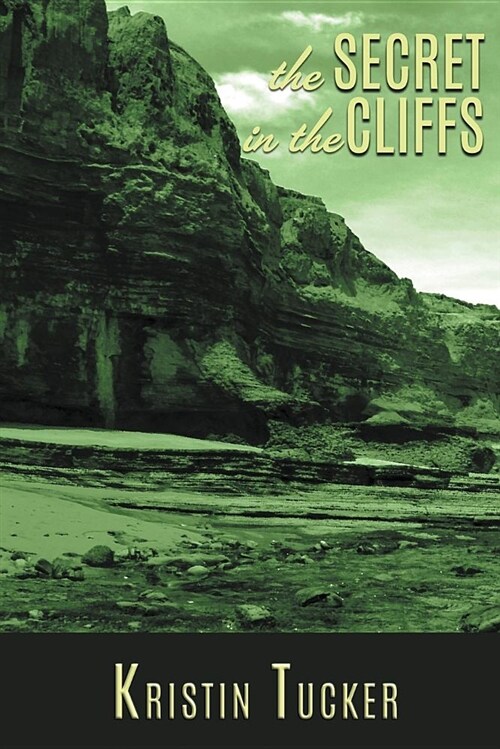 The Secret in the Cliffs (Paperback)