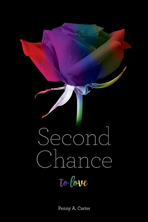 Second Chance to Love (Paperback)