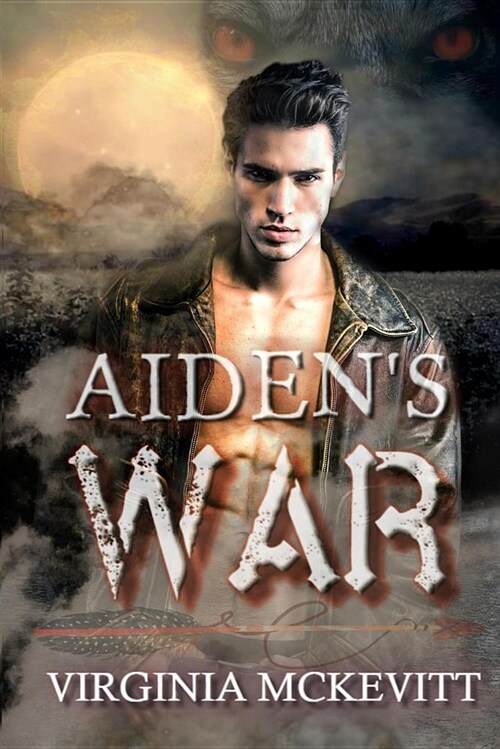 Aidens War (Paperback)