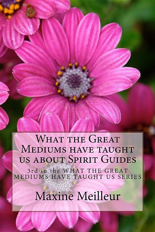 What the Great Mediums Have Taught Us about Spirit Guides (Paperback)