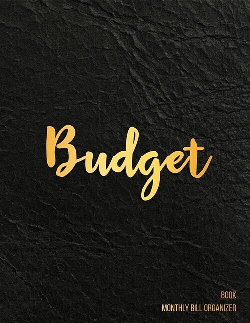 Budget Book Monthly Bill Organizer: 12 Month Budget Planner Book, Budget Organizer Journal Notebook Finance Planner, Money Organizer, Debt Tracker (Paperback)