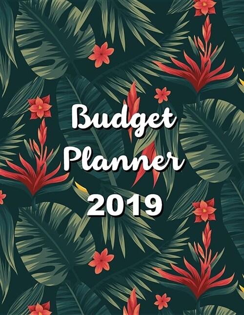 Budget Planner 2019: 12 Month Budget Planner Book, Budget Organizer Journal Notebook Finance Planner, Money Organizer, Debt Tracker (Paperback)