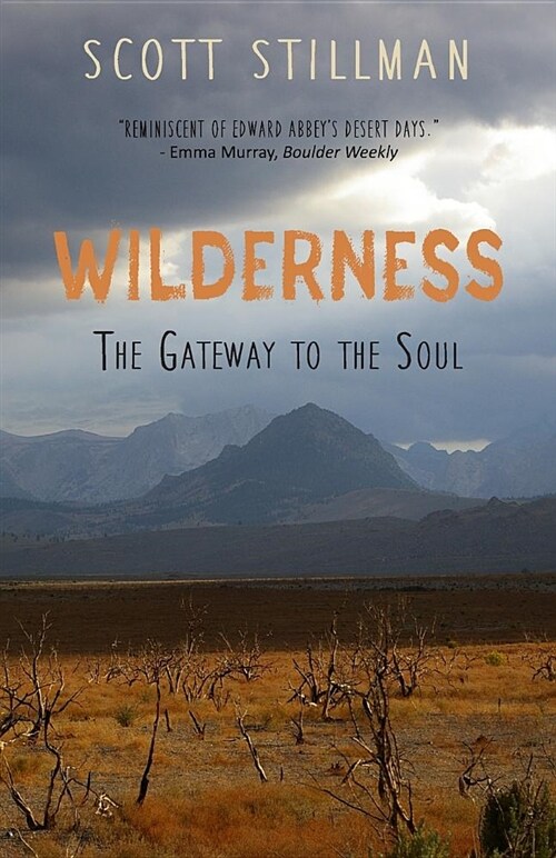 Wilderness, the Gateway to the Soul: Spiritual Enlightenment Through Wilderness (Paperback)