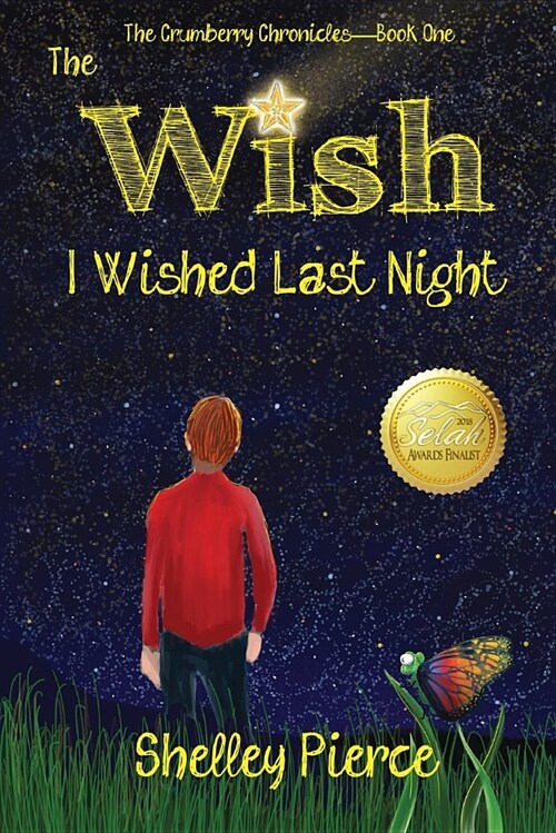 The Wish I Wished Last Night (Paperback)