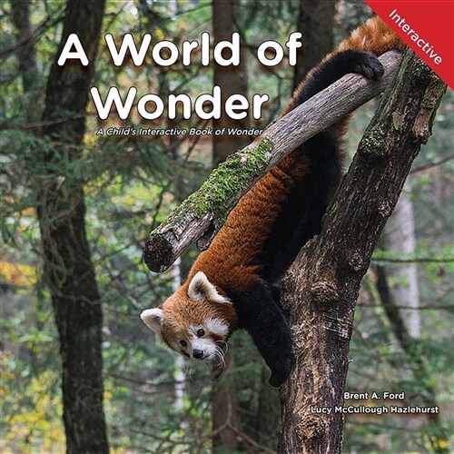 A World of Wonder: A Childs Interactive Book of Wonder (Paperback)