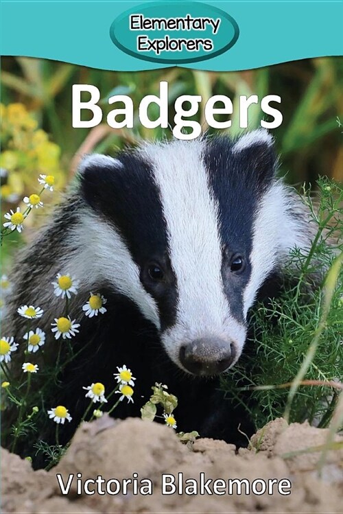 Badgers (Paperback)