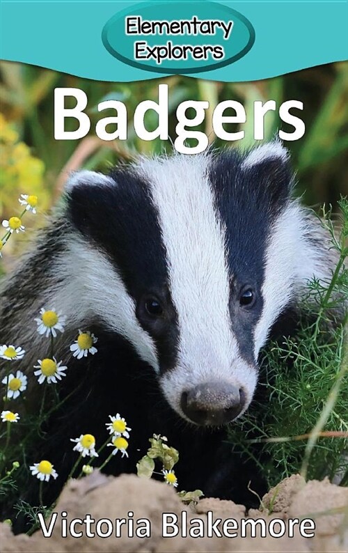 Badgers (Hardcover)