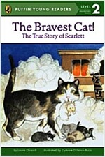 The Bravest Cat! (Paperback)
