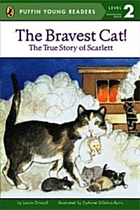 [중고] The Bravest Cat! (Paperback)