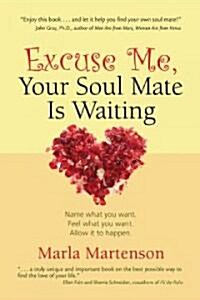 Excuse Me, Your Soul Mate Is Waiting (Paperback)