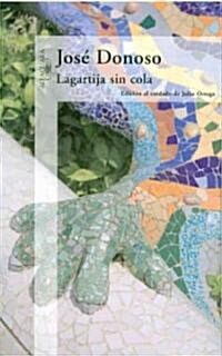 Lagartija sin cola/ Tailless Lizard (Paperback)