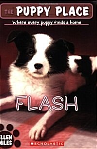 [중고] Flash (the Puppy Place #6) (Paperback)