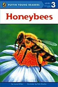 [중고] Honeybees (Paperback)