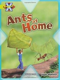 Project X: Underground: Ants at Home (Paperback)