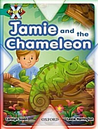 Project X: Hide and Seek: Jamie and the Chameleon (Paperback)