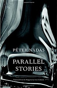 Parallel Stories (Hardcover)
