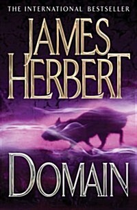 Domain (Paperback)