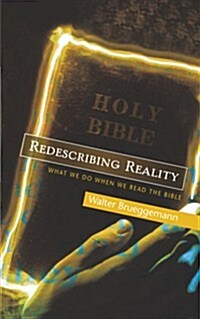 Redescribing Reality : What We Do When We Read the Bible (Paperback)