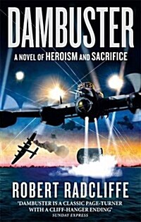 Dambuster (Paperback)