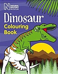 Dinosaur Colouring Book (Paperback)