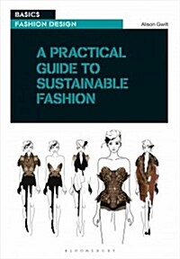 A Practical Guide to Sustainable Fashion (Paperback)