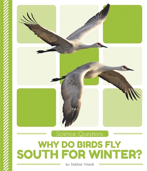 Why Do Birds Fly South for Winter? (Paperback)