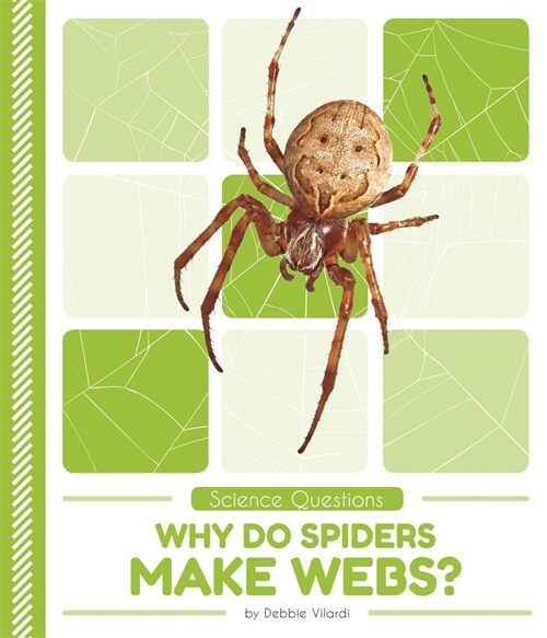 Why Do Spiders Make Webs? (Paperback)