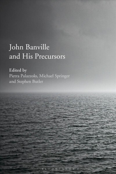 John Banville and His Precursors (Hardcover)