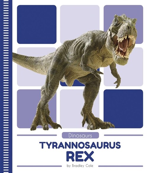 Triceratops (Paperback)