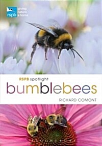 Rspb Spotlight Bumblebees (Paperback)