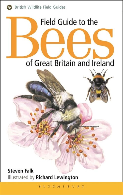 Field Guide to the Bees of Great Britain and Ireland (Paperback)