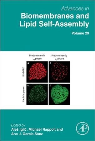 Advances in Biomembranes and Lipid Self-assembly (Hardcover)