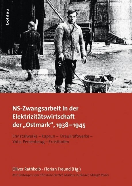 Ns-Zwangsarbeit in Der Elektrizitatswirtschaft Der Ostmark, 1938-1945: Ennstalwerke - Kaprun - Draukraftwerke - Ybbs-Persenbeug - Ernsthofen (Hardcover, 2, 2., Erweit. Auf)