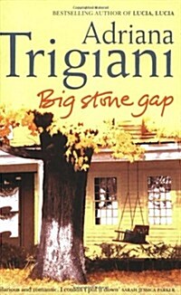 Big Stone Gap (Paperback)
