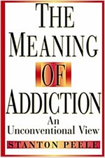 The Meaning of Addiction: An Unconventional View (Paperback, 1998 Reissued P)